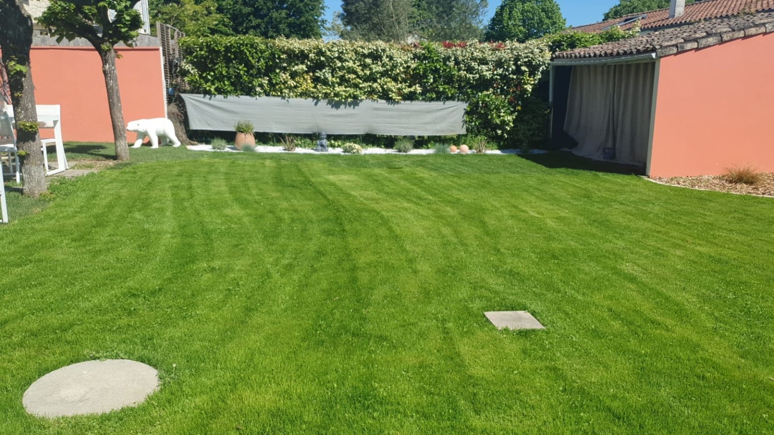 Pelouse aménagée dans un jardin clos