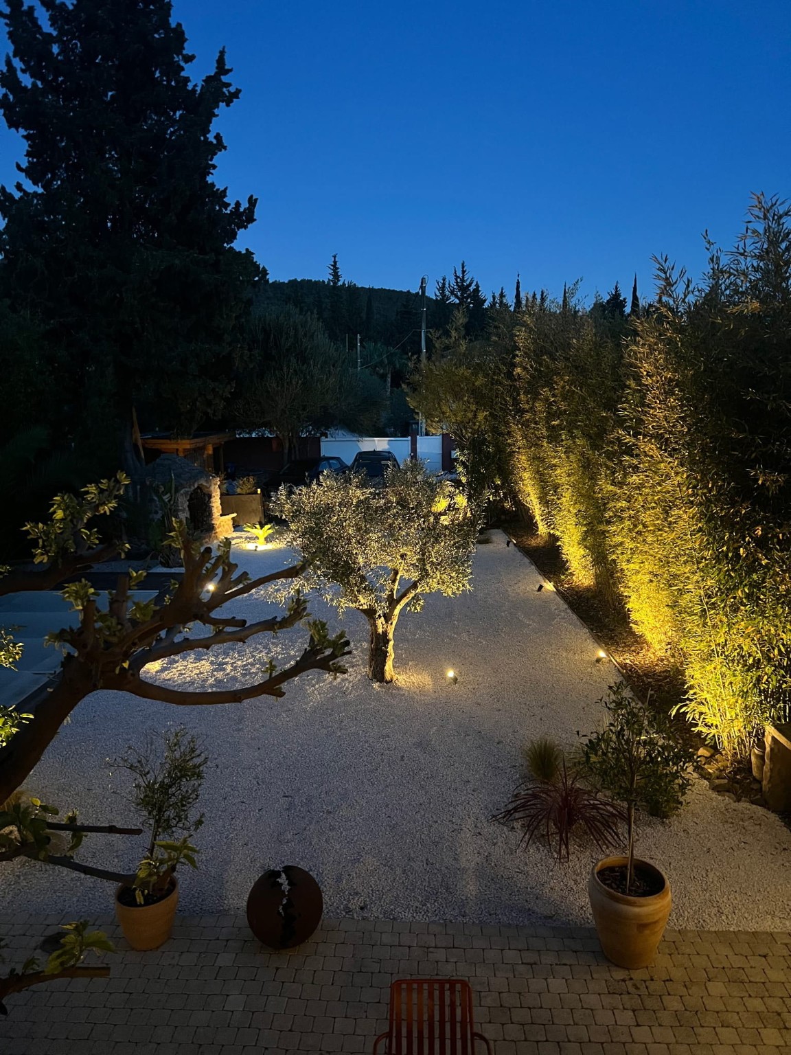 Jardin paysager éclairé de nuit