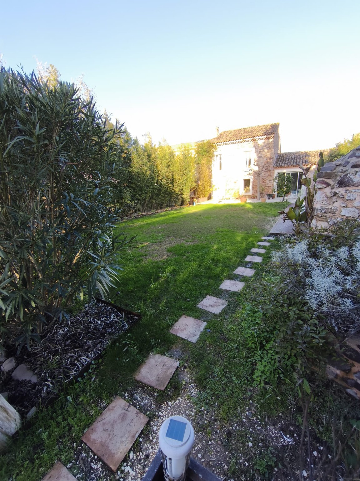Jardin engazonné avant transformation
